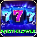 andy flower Premium Plus v4.6.7