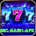 bbl big bash apk Pro v2.0.8
