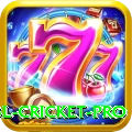 bbl cricket Turbo - Win Real PKR
