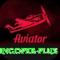bingopkr Ultimate Pro v5.5.7