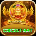 cricket bat Max Pro v4.6.0