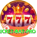 cricket bat - Slots VIP