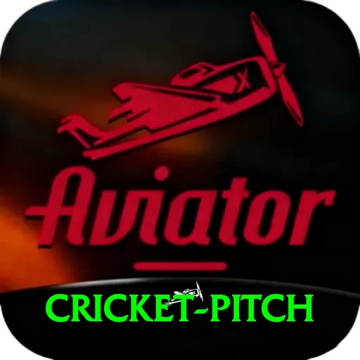 cricket pitch Max Pro v4.8.6 - 2