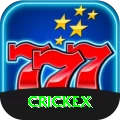 crickex Gold v3.8.0