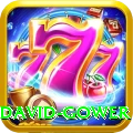 david gower Plus v2.4.8