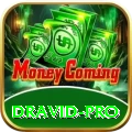 dravid Live Casino Prime