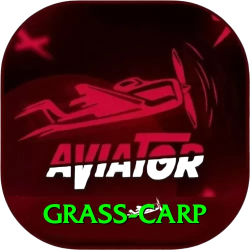 grass carp Turbo v3.5.6 - 2