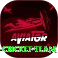 hong kong cricket team Master Pro v4.1.0
