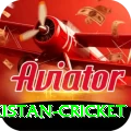 india pakistan cricket Pro v3.2.1