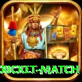 india pakistan cricket match Premium Plus v3.1.3