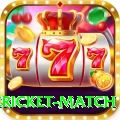 international cricket match Ultimate v1.2.4