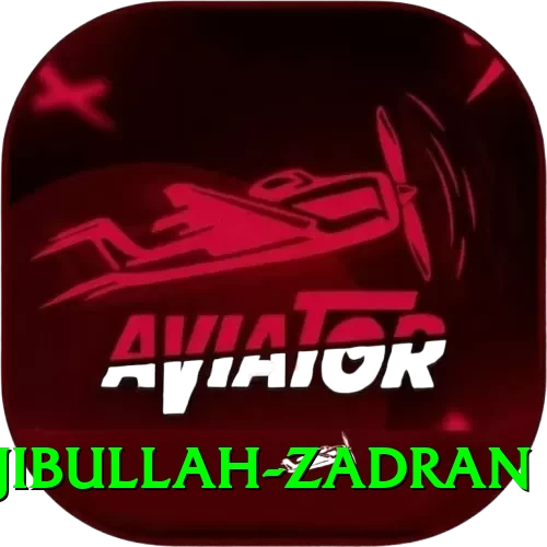 najibullah zadran Plus Pro v3.3.4 - 2