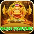 naseem shah yorkers Max Pro v3.0.4