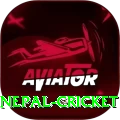 nepal cricket Pro1 v4.0.6