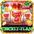 new zealand cricket team Pro Max v1.2.3