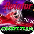 pakistan women cricket team Deluxe v4.9.4
