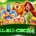 risk free bet cricket Turbo Pro v4.7.1