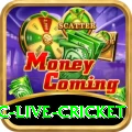 smartcric live cricket Turbo Pro v1.1.0