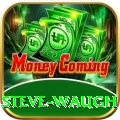steve waugh VIP Edition v5.5.1