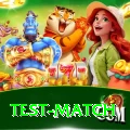 test match Max v3.7.7