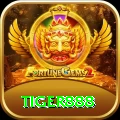 tiger888 Gold Pro vv2.3.4
