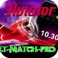 to day cricket match - Master Edition v2.7.8