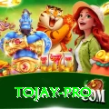 tojay Pro v5.6.0